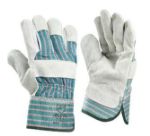 Afbeelding - 736041820220301-jpg